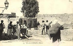 BIVEN Georges - 353 - Oujda